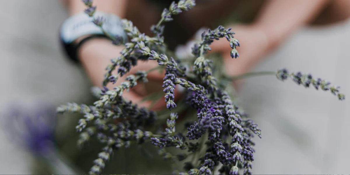 The Benefits of Adding Aromatherapy to Your Shower